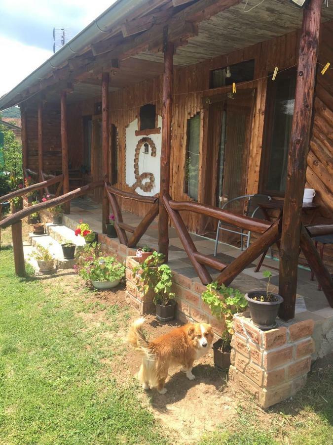 Apartament Hacijenda Gane Sokobanja Zewnętrze zdjęcie